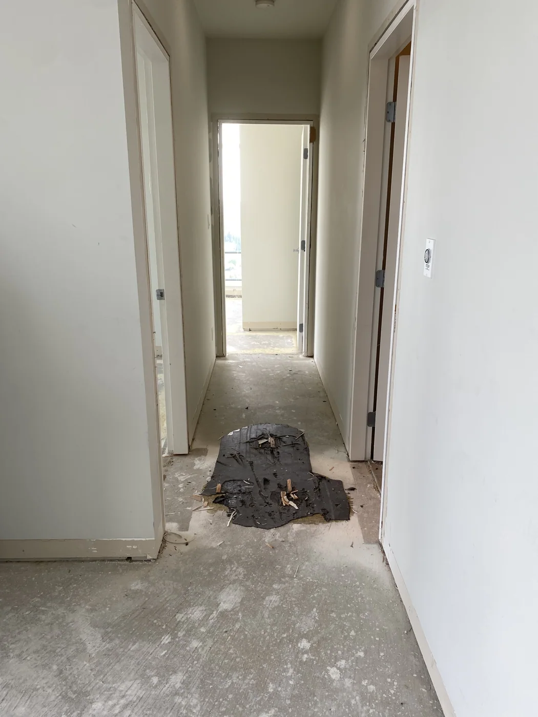 Condo after flooring removal