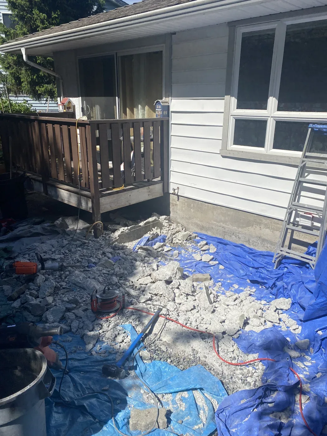 Backyard after cleanout