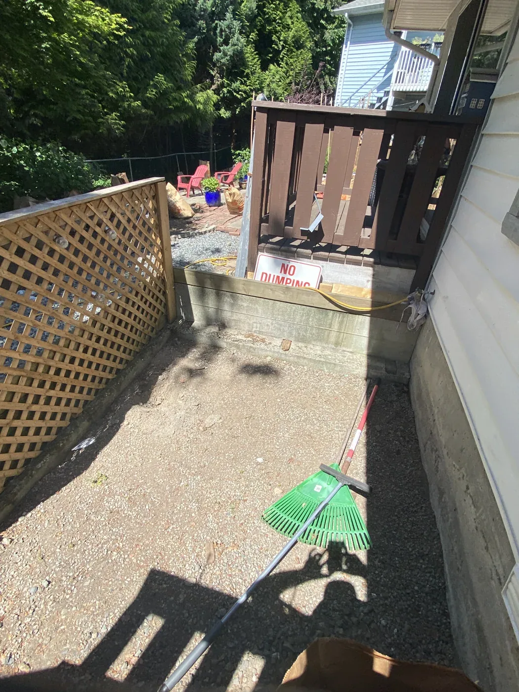Backyard before cleanout