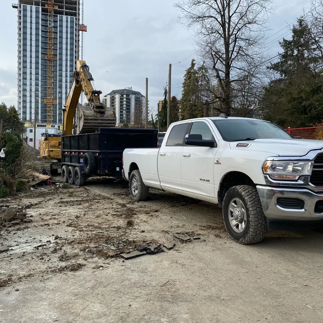 Disposal and haul away with dump truck